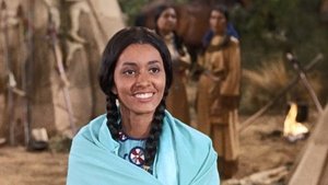 Poster for Mr. Henry Comstock