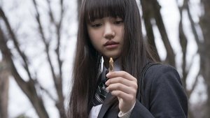 Poster for Decisions