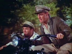 Poster for Boragora or Bust