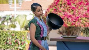 Poster for New Cooks New Tricks