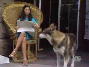 Poster for Rex Badger P.I.