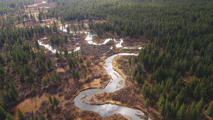 Poster for Mississippi