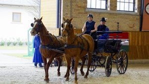 Poster for What Would Houdini Do?