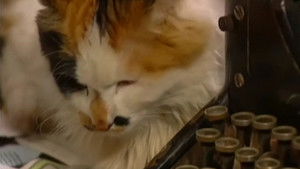 Poster for Episode 7