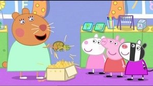Poster for Doctor Hamster's Tortoise