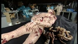 Poster for The Director's Take: Making Of The Body