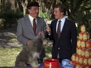 Poster for Murder is Man's Best Friend