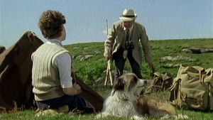 Poster for Five Go Off to Camp