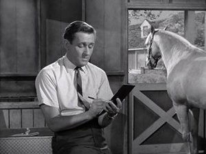 Poster for Wilbur Post, Honorary Horse