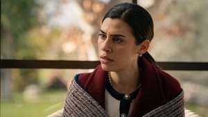 Poster for Episode 278 Poster for Episode 278