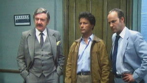 Poster for A Perfect Recapture