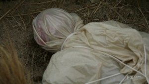 Poster for Hell Followed