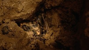 Poster for The Bone Caves - Alveston, Gloucestershire Poster for The Bone Caves - Alveston, Gloucestershire