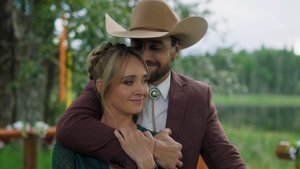 Poster for Fall Down, Get Back Up