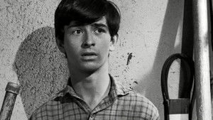 Poster for The Old Man Picked a Lemon