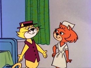Poster for Top Cat Falls in Love