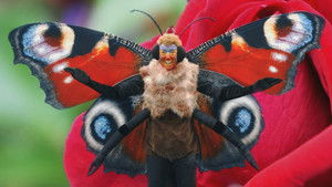 Poster for A Meteor For The Dinosaurs, Binary Bangers And Perilous Plants