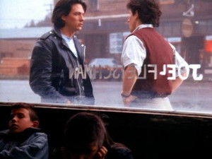 Poster for Brains, Know How and Native Intelligence