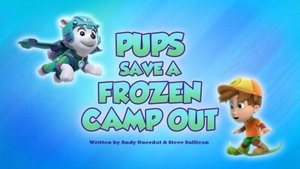 Poster for Pups Save a Frozen Camp-Out