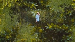 Poster for Your Hands Have Turned into Lightbulbs