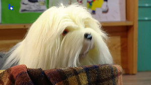 Poster for Commissaris Van Leemhuyzen Poster for Commissaris Van Leemhuyzen