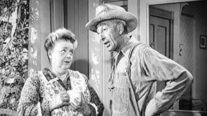 Poster for Aunt Bee the Crusader