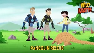 Poster for Pangolin Rescue