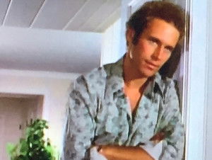 Poster for The Law Poster for The Law