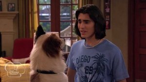 Poster for Freaky Fido Poster for Freaky Fido