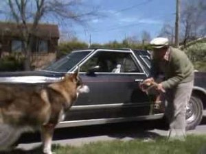 Poster for Scavenger Hunt (2)