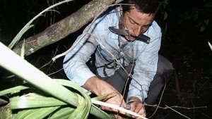 Poster for Everglades