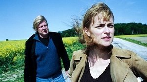 Poster for Wallander: Mannen som log, Del 1