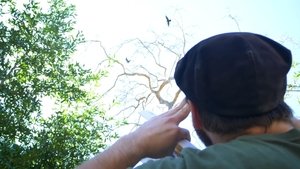 Poster for Birdwatching with BMart