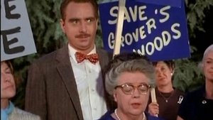 Poster for The Mayberry Road Poster for The Mayberry Road