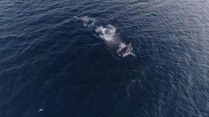 Poster for Episode 4