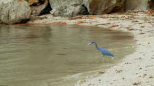 Poster for Episode 7