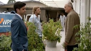 Poster for Nail in the Heart