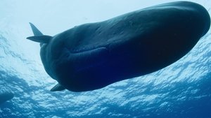 Poster for Giants of the Deep