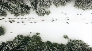 Poster for Episode 4