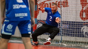 Poster for A bunch of sheep - part 2