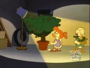 Poster for Easy Come, Easy Grows