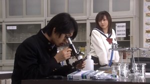 Poster for Insincere Glances