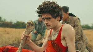 Poster for Space Vomit, Pet Mushrooms And Death By Chicken