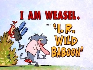 Poster for I.R. Wild Baboon