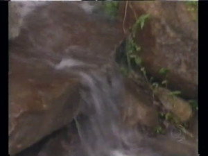 Poster for Episode 115 Poster for Episode 115