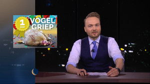 Poster for Bird flu | Rosemary Wind