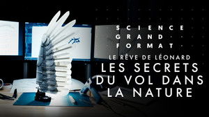 Poster for Episode 17