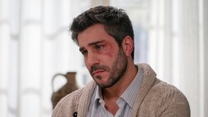 Poster for Episode 248