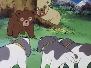 Poster for New owner