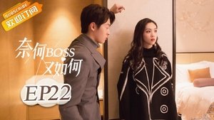 Poster for Episode 22